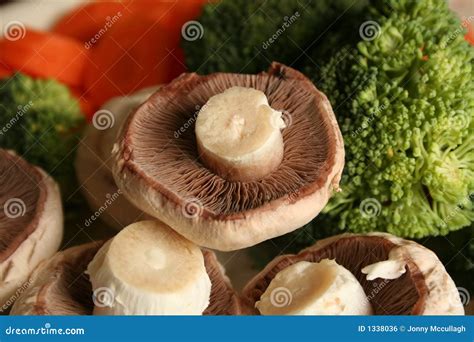 Vegetables Mushrooms Stock Photo Image Of Broccoli