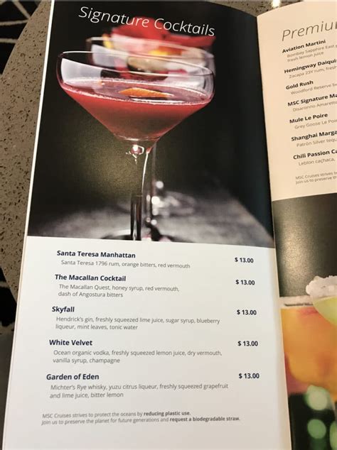 Worth It Complete Guide To Msc Cruises Drink Packages