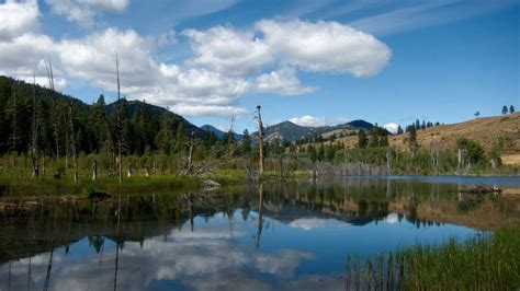 Best Olympic National Forest Free Dispersed Camping Sites