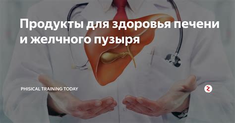 Продукты для здоровья печени и желчного пузыря | PHISICAL TRAINING ...