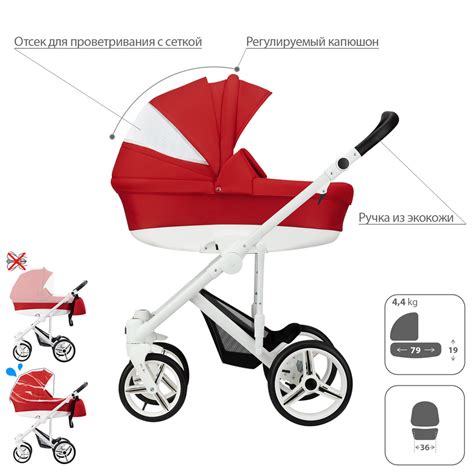 Купить коляску BEBETTO Magnum 2 в 1