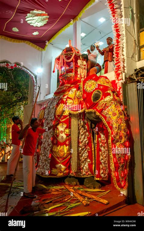 Kataragama Perahera Festival Hi Res Stock Photography And Images Alamy