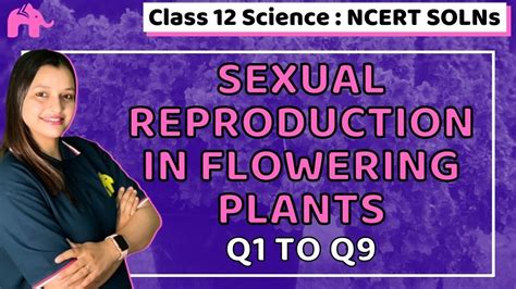 Sexual Reproduction In Flowering Plants Class 12 Bio Biology