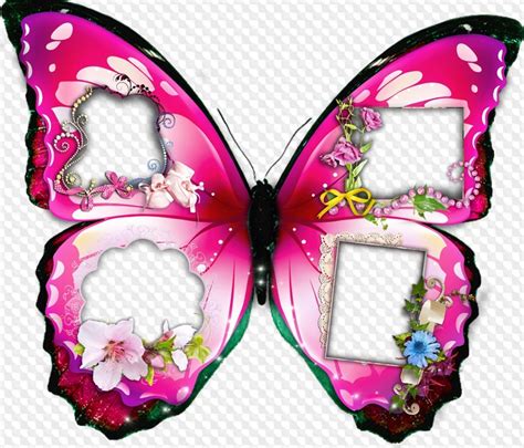 Photo Frame Butterfly Frame Template Four Pictures Psd Png Download