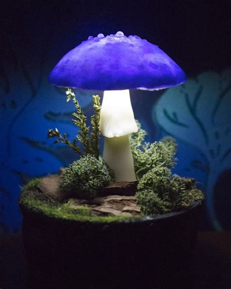 New Iridescent Mushroom Night Light In Pot Mushroomlamp Mushroom