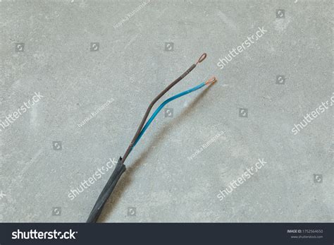 Naked Wire Images Stock Photos Vectors Shutterstock