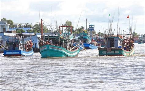 Piden en Vietnam aumentar gestión de buques pesqueros para combatir