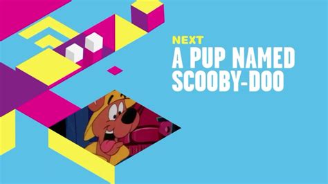 Cartoon Network Scooby Doo Bumper