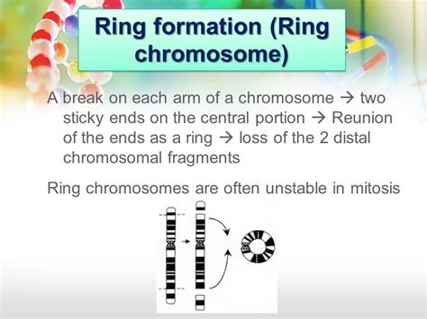 Lecture 2 Chromosome Anomalies Muhammad Faiyaz Ul Haque M Phil Phd Frcpath Lecture 2