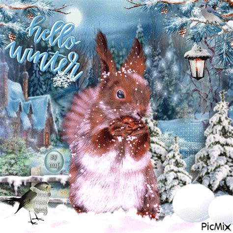 Winter Squirrel - Hello Winter Gif Pictures, Photos, and Images for ...