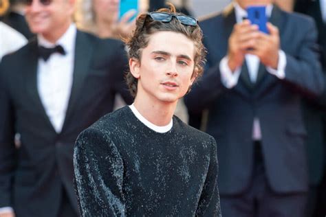 Timothée Chalamet ci insegna che ogni umano è queer Gay it