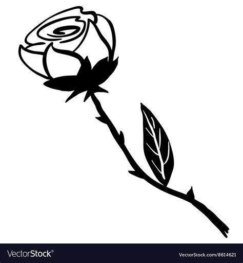 Simple black and white rose Royalty Free Vector Image