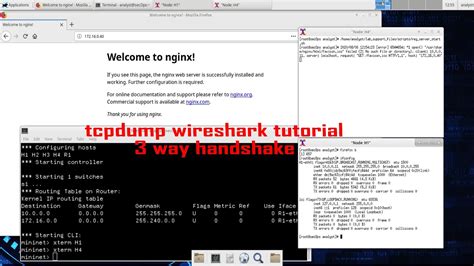 Ccna Cybersecurity Operations Lab Using Wireshark To Observe The Tcp