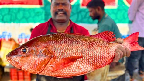 Kasimedu Speed Selvam Big Red Snapper Fish Cutting In Kasimedu