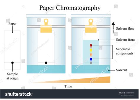 Applications of Chromatography in Different Industries - 88Guru