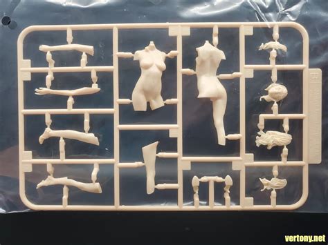 GSC組裝模型開箱 PLAMAX Naked Angel 茱莉亞 JULIA じゅりあ vertony s Dungeons