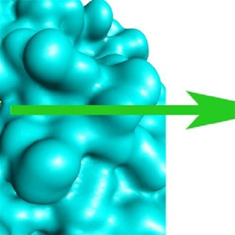 Validation Of The Docking Protocol Through The Re Docking Of The Cci