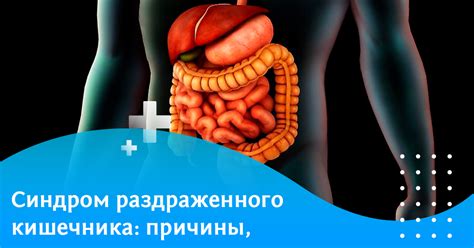 Синдром раздраженного кишечника: причины, симптомы и лечение — Teletype
