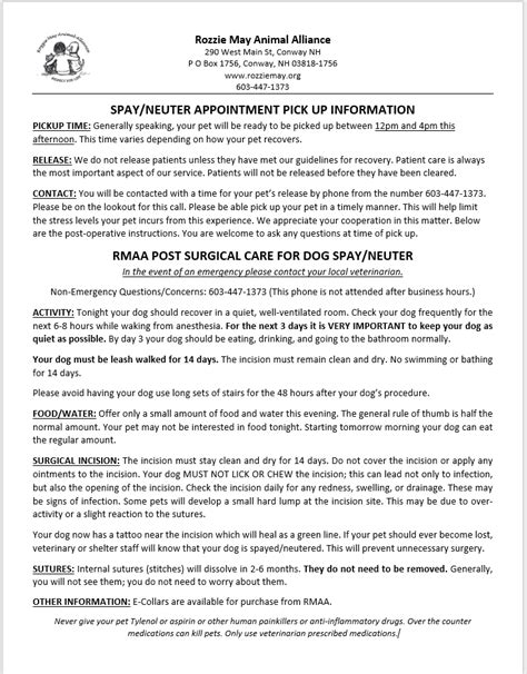 Dog Spay/Neuter Post Operation Instructions – Rozzie May Animal ...