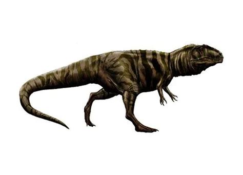 Giganotosaurus | Description, Size, Fossil, Diet, & Facts