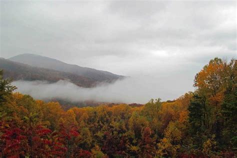 Great Smoky Mountains National Park Gatlinburg 2020 All You Need To