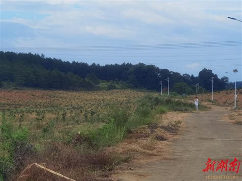 守住耕地红线｜道县：严厉打击占用耕地和永久基本农田发展林果业的违法行为 乡镇单位 新湖南