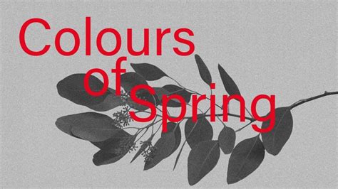 Colors Of Spring Lopez Design