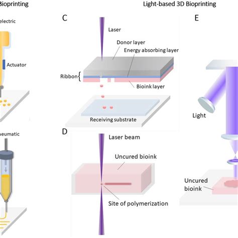 D Bioprinting Methods A B Nozzle Based Methods A Inkjet Printing