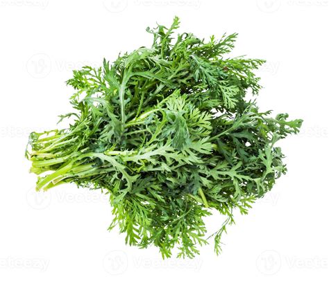 bundle of edible chrysanthemum greens isolated 11448295 Stock Photo at