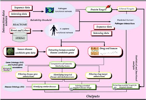 An Integrative Computational Framework Enabling Essential Target