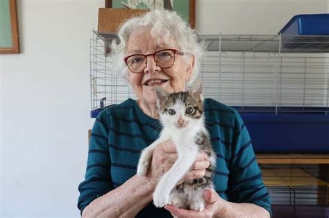 Ouest France Chat O Cats a stérilisé 200 chats en 2023 et lance un