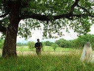 Naked Diane Rouxel In Fou D Amour