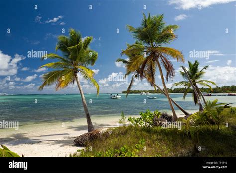 Bavaro Beach Dominican Republic Stock Photo - Alamy