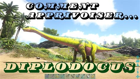 Comment Apprivoiser Un Diplodocus Ark Survival Evolved TUTO