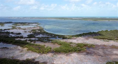 1 Acre Lagoon Front Parcel In San Pedro Belize District Bedrooms