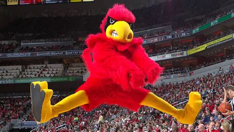 The History Behind 15 ACC Mascots | News | 2aDays News