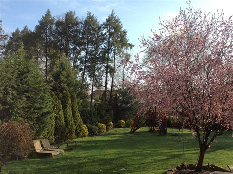 Mosquito Control Costs