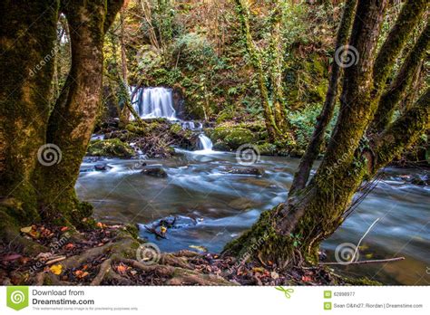 Edenvale Waterfall Stock Image Image Of Motion Foliage 62898977