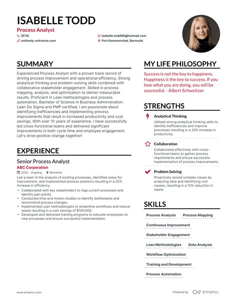 Accounting Analyst Resume Examples How To Guide For