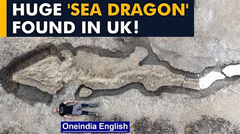 Huge 'sea Dragon' Fossil Found In UK Ichthyosaur Fossil Oneindia News ...