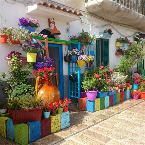 Colorful Potted Plants for Your Small Garden