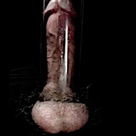 Top Gay Amateur Porn Video Creators Of Homemade Sex Xhamster