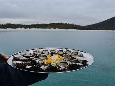 The Striking Beauty Of A Wineglass Bay Cruise News At Freycinet Lodge