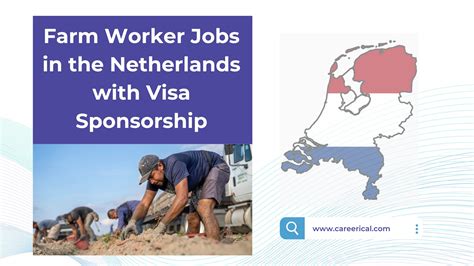 Call To Apply Farm Worker Jobs In The Netherlands With Visa