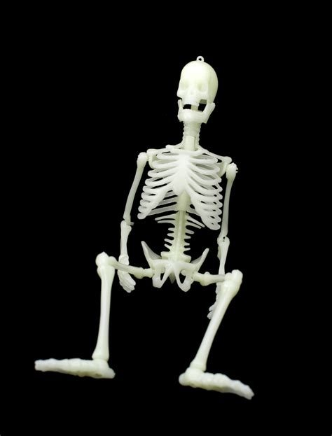 laughing skeleton-2654 | Stockarch Free Stock Photos