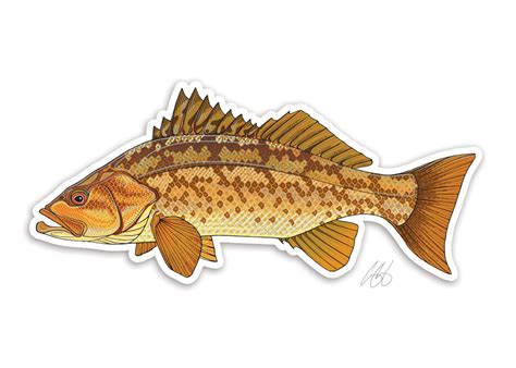 Calico Bass Decal Casey Underwood Artwork And Design