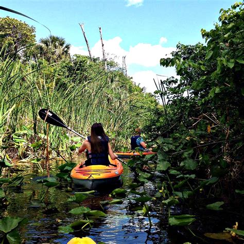 Kayaking through a Lily-Pad-Infested Floridian Lagoon | Nicole DiGiose