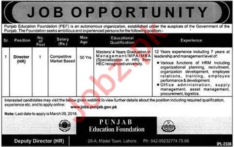 Punjab Education Foundation Pef Job Director Hr Job