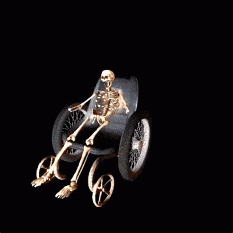 Skeleton Wheelchair Skeleton Wheelchair Wheelie Discover