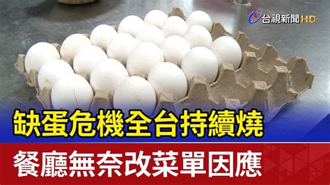 缺蛋危機全台持續燒 餐廳無奈改菜單因應 Youtube